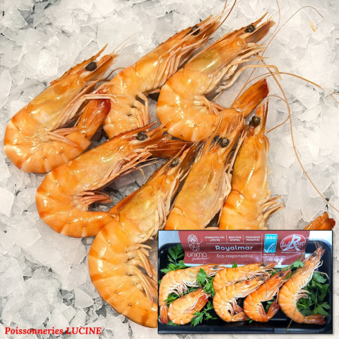 CREVETTES DE MADAGASCAR LABEL ROUGE