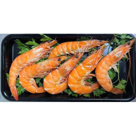 CREVETTES D'EQUATEUR