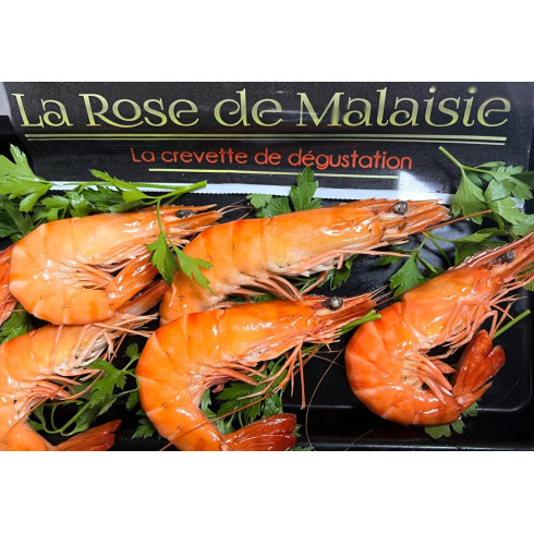 CREVETTES DE MALAISIE